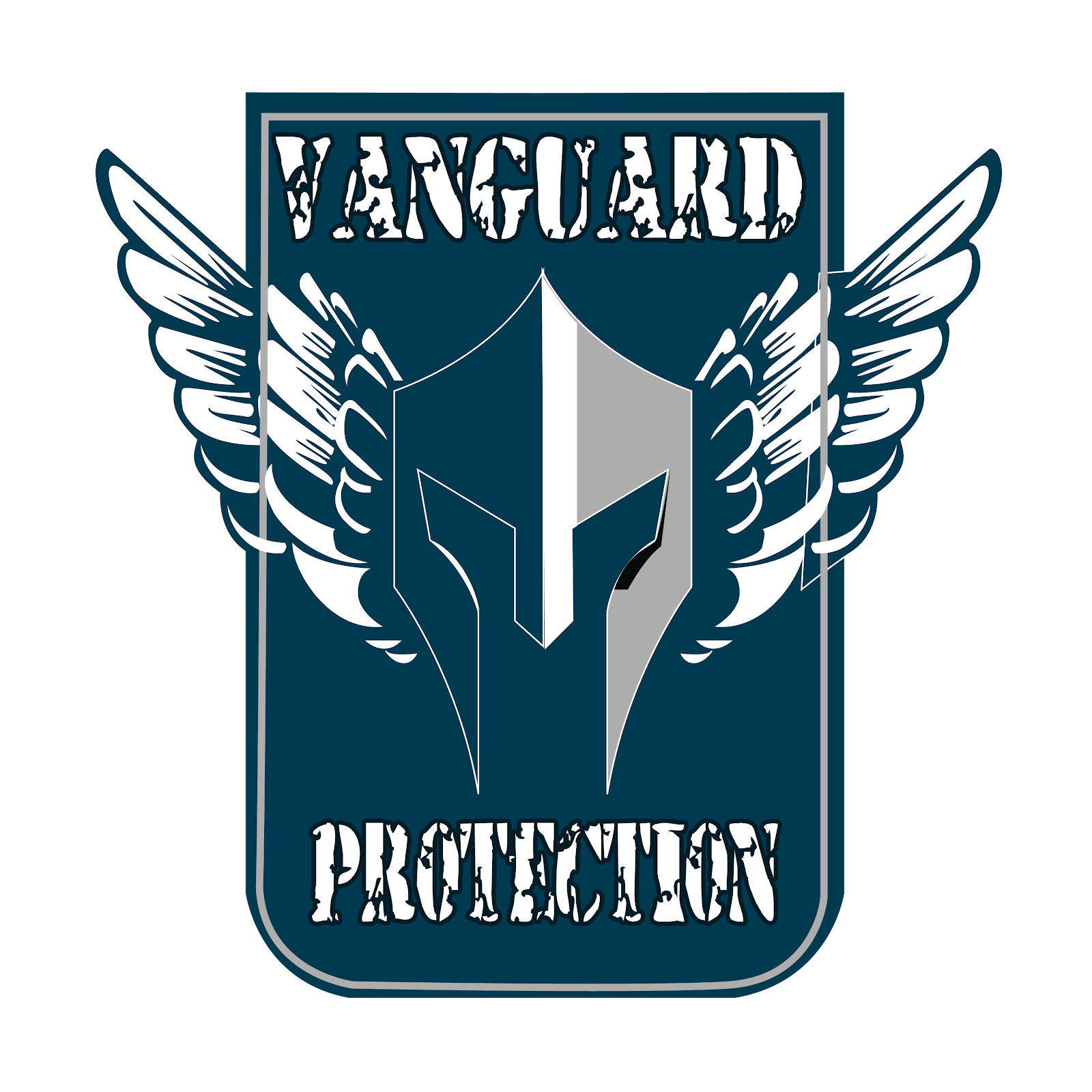 vanguardprotection.pvt.ltd